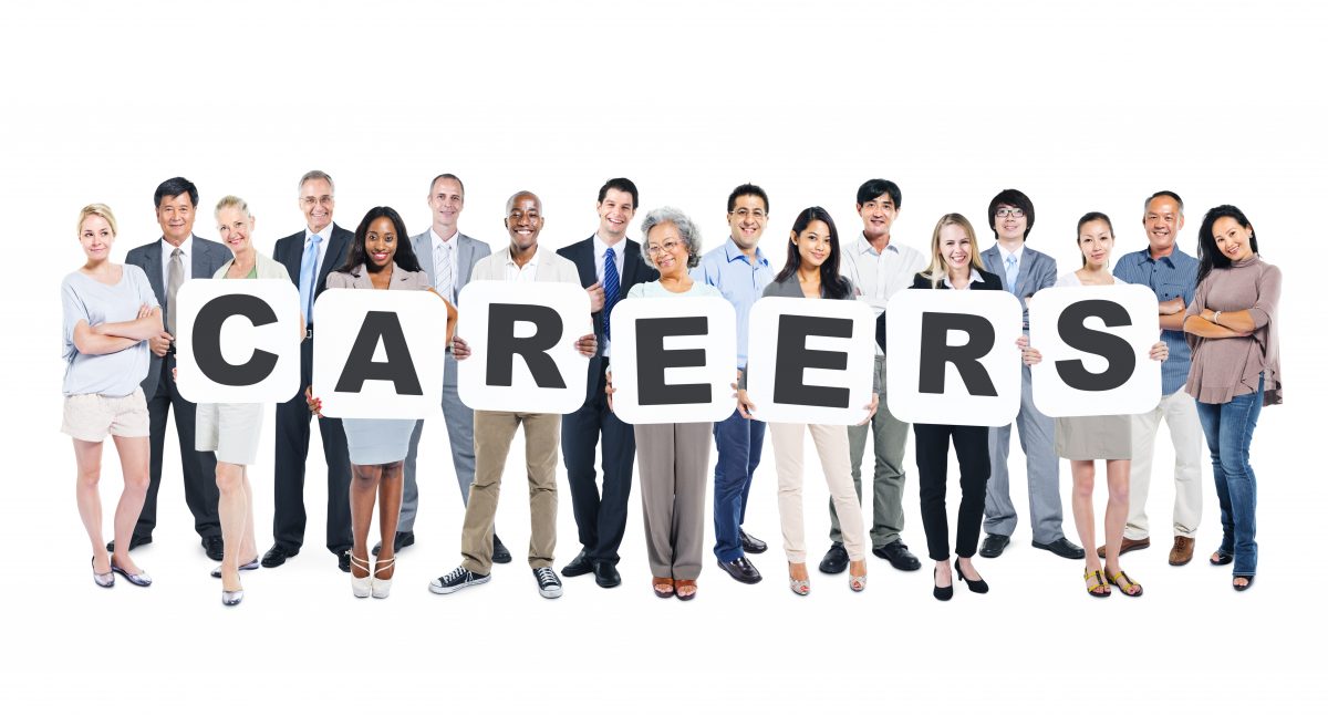 Career Fields and Career Clusters What are your options? Career Fields and Career Clusters What are your options?